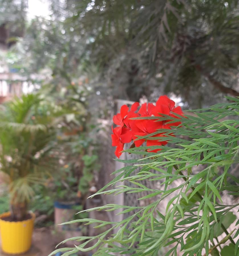 Trimurti Holiday Home Панчгани Екстериор снимка